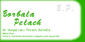 borbala pelach business card